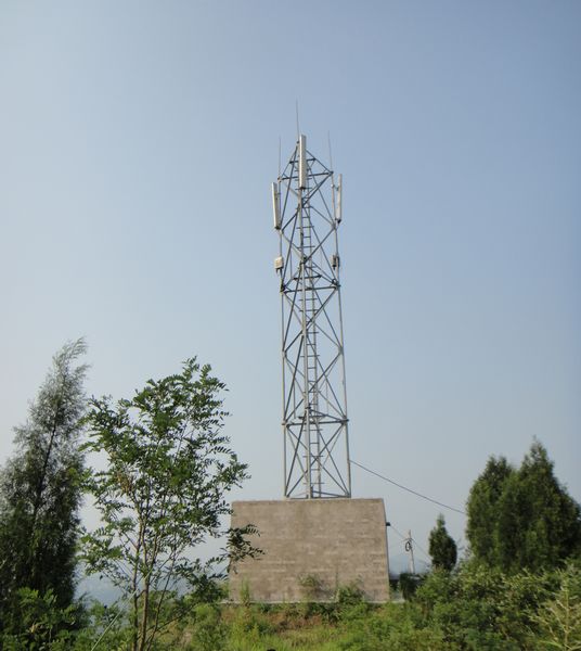 DSC03355.jpg