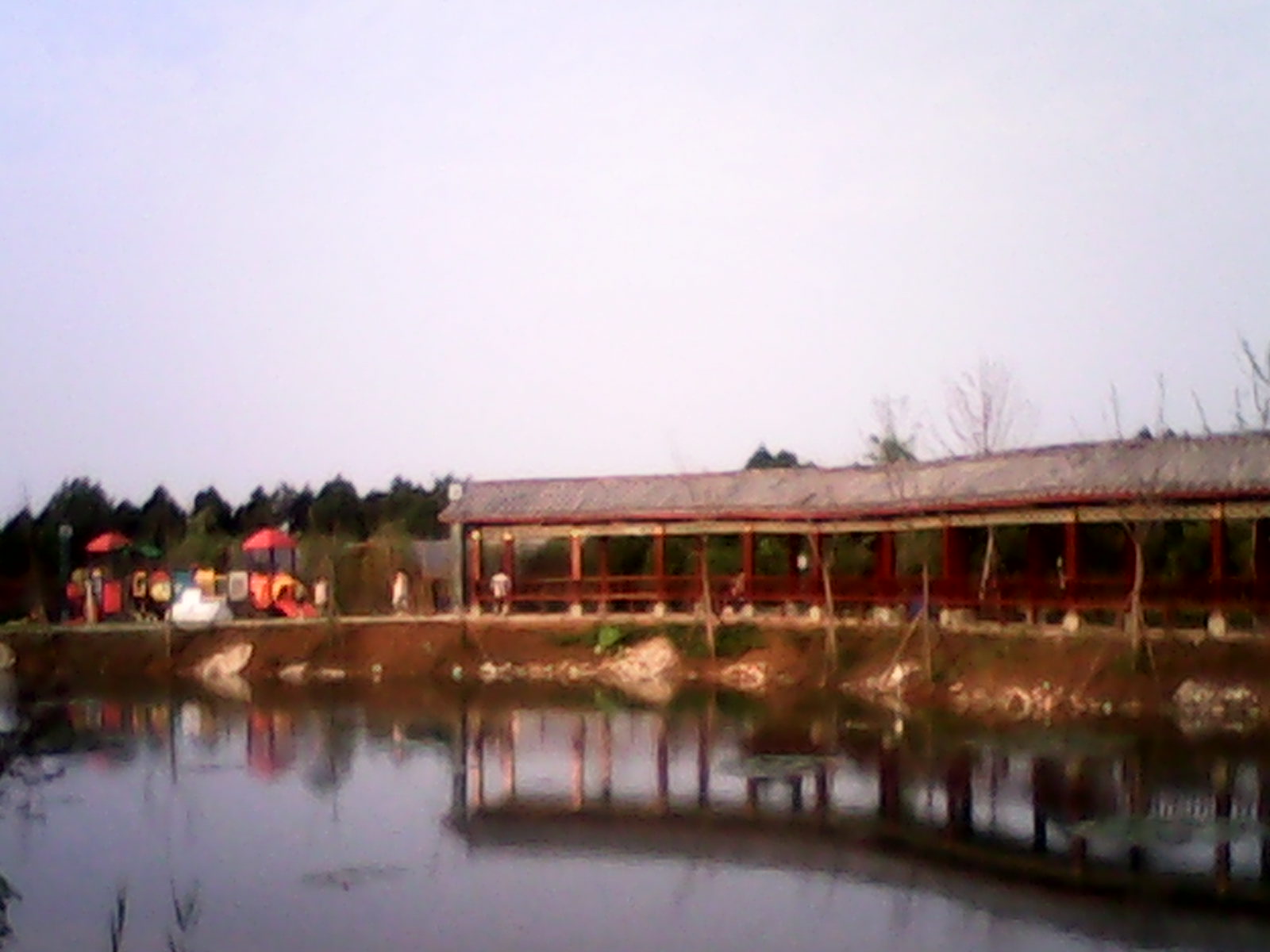 IMG_20130622_064227.jpg