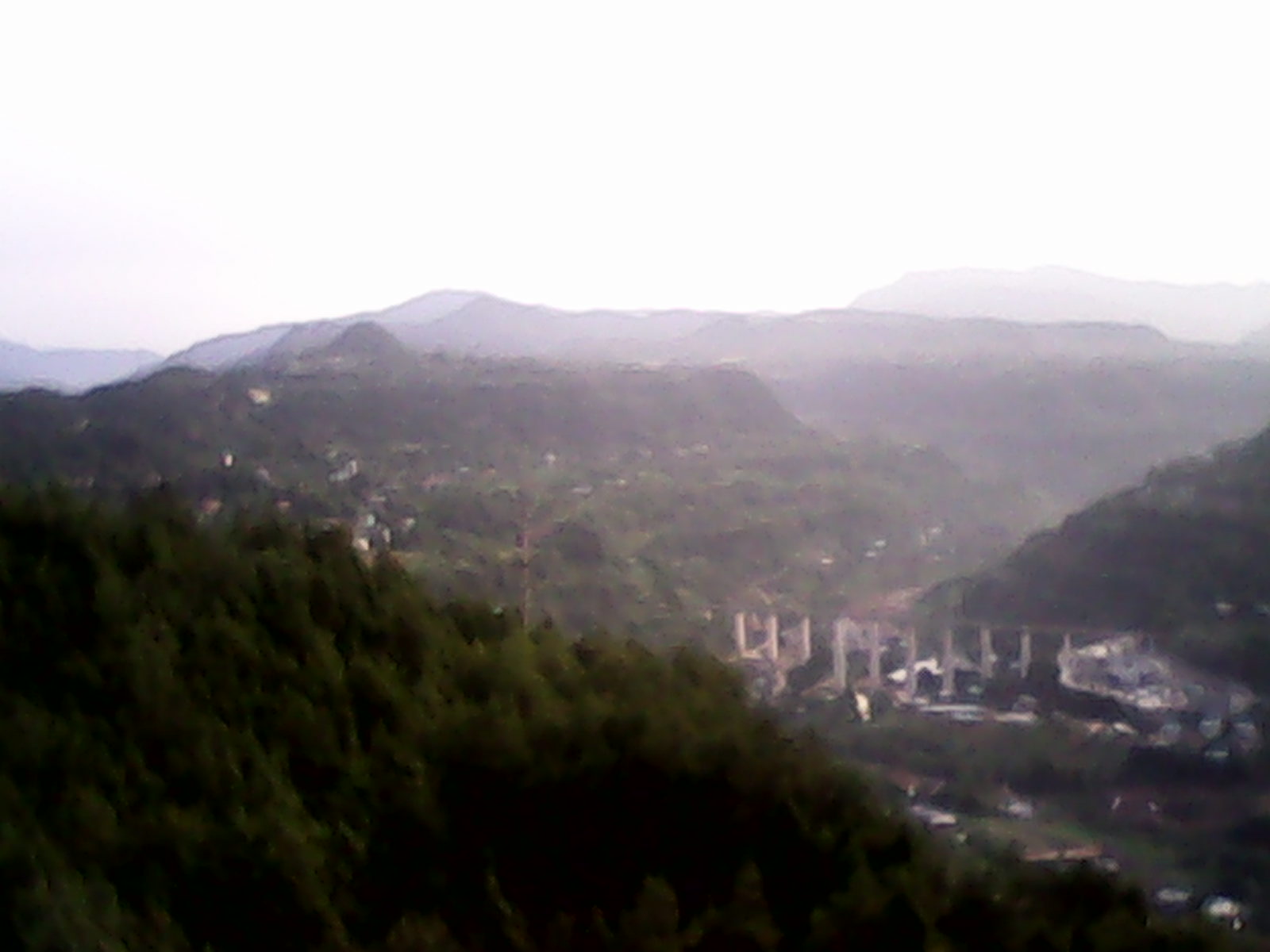 IMG_20130622_065159.jpg