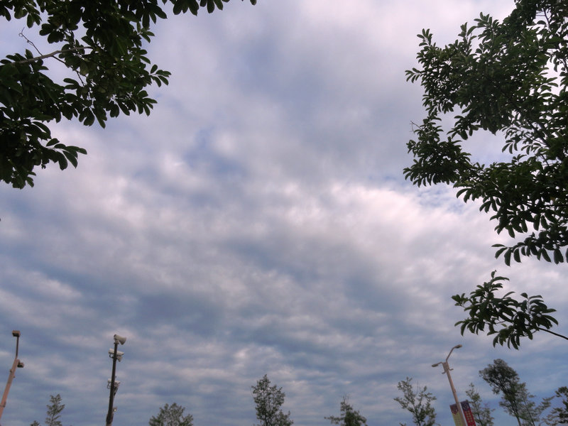 DSC09342.JPG