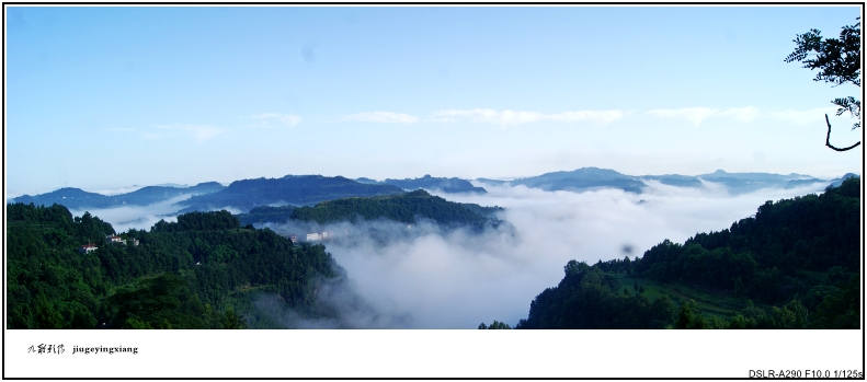 DSC06476_conew2.jpg
