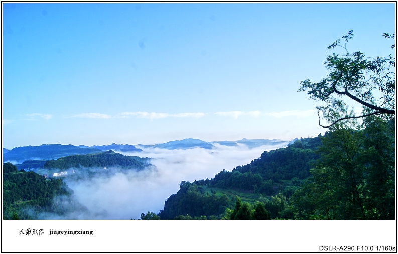 DSC06485_conew2.jpg
