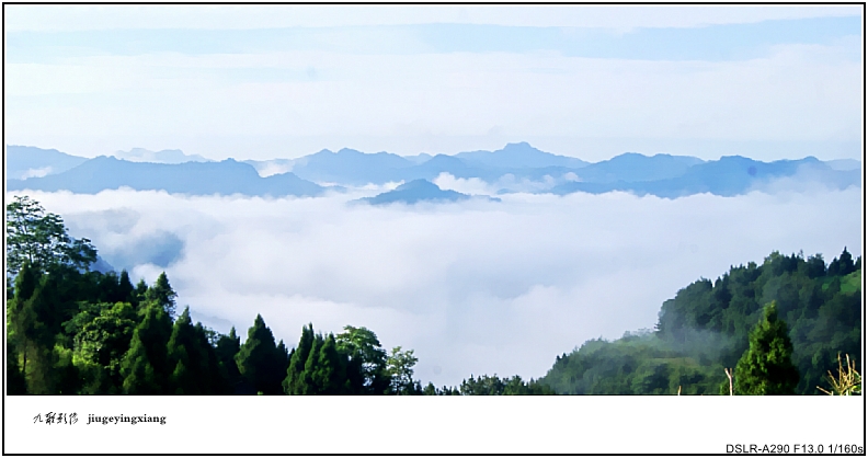 DSC06492_conew2.jpg