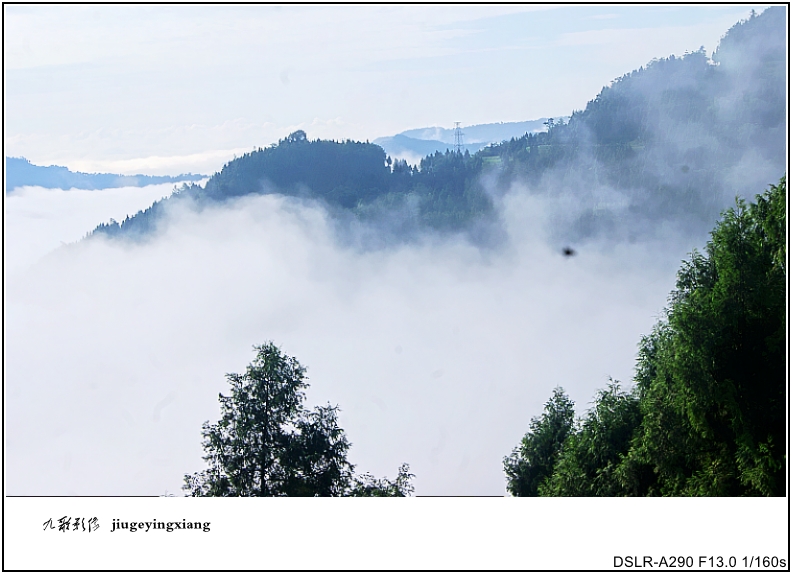 DSC06521_conew2.jpg