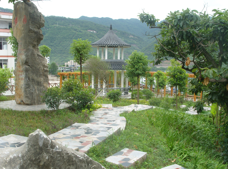 SNV10473_.jpg