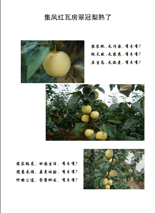 QQ1.jpg