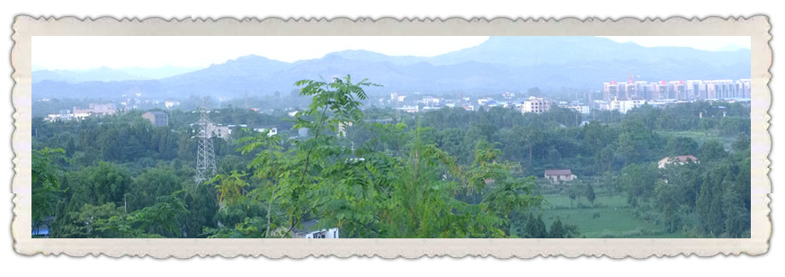 DSCF1248__.jpg