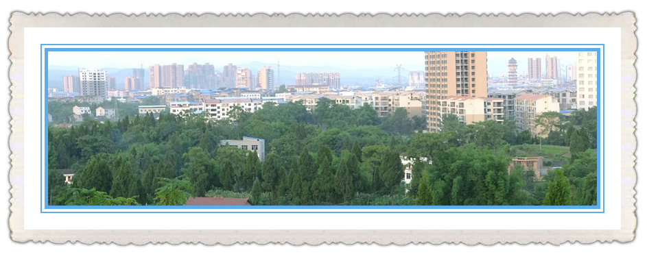DSCF1249__.jpg