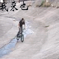 206_206gif 动态图 动图