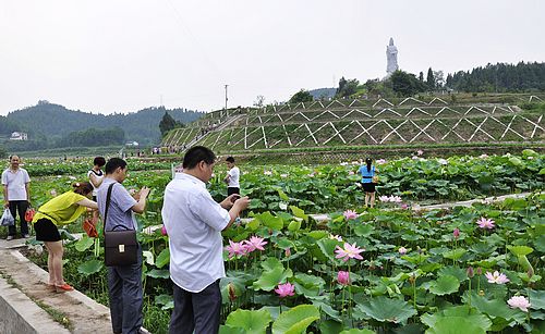 nEO_IMG__DSC0321.jpg