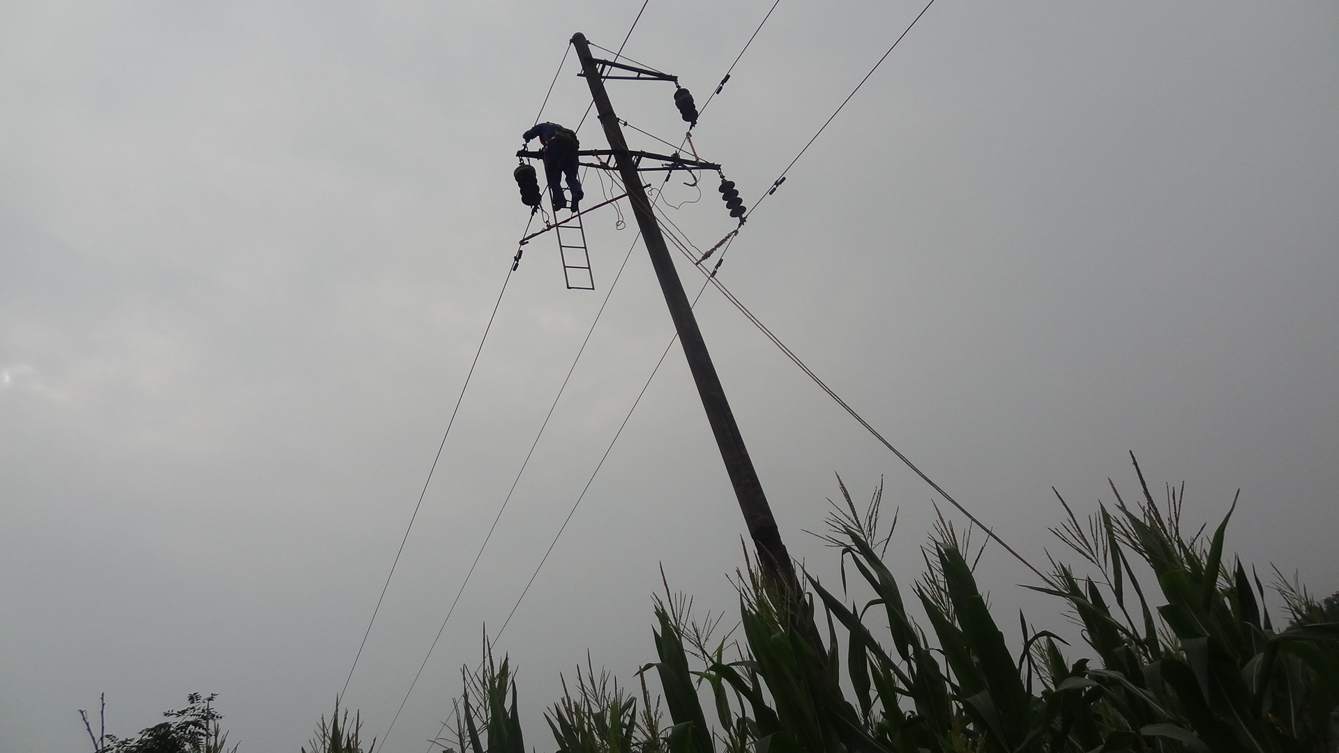 大雨後,電杆偏了