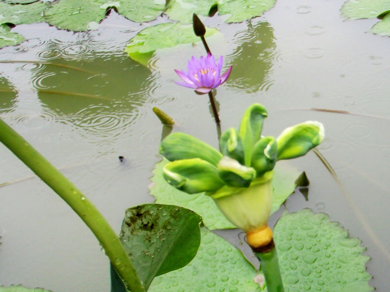 DSCF7084.JPG