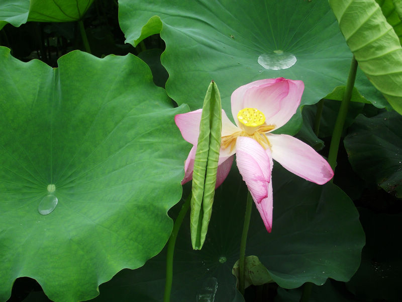 DSCF7111.JPG
