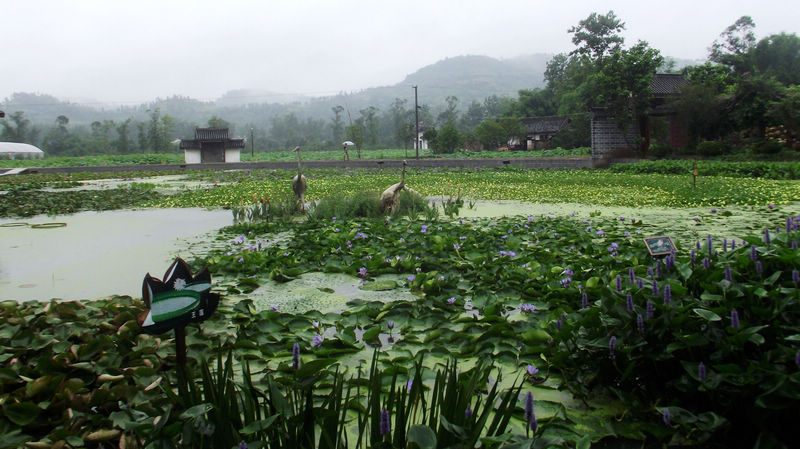 DSCF7114.JPG