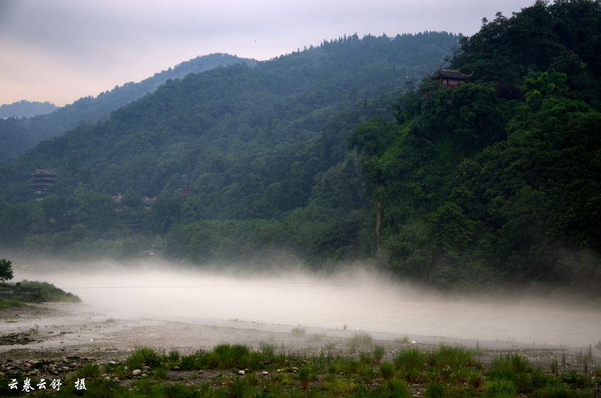 _DSC4671_conew1.jpg
