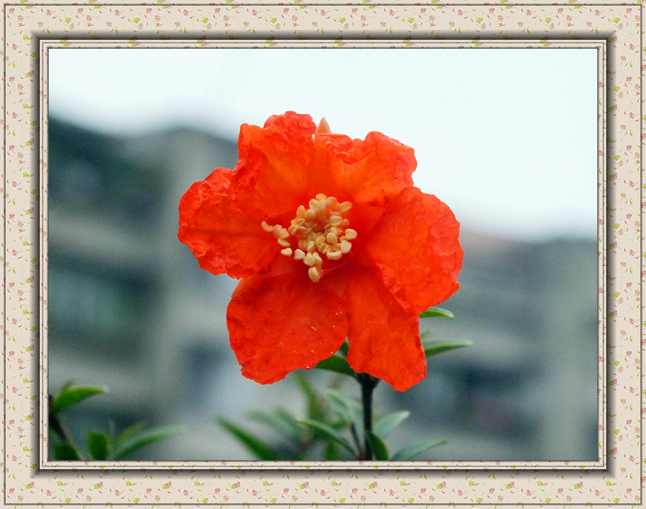 DSCF0008__.jpg
