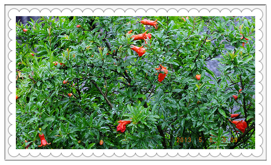 DSCF0194_.jpg
