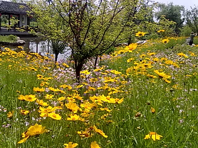 201305121178.jpg
