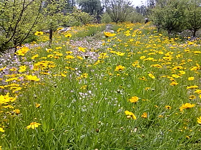 201305121179.jpg