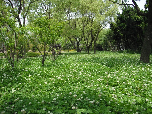 DSCF6295.JPG