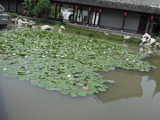 DSCF6312.JPG