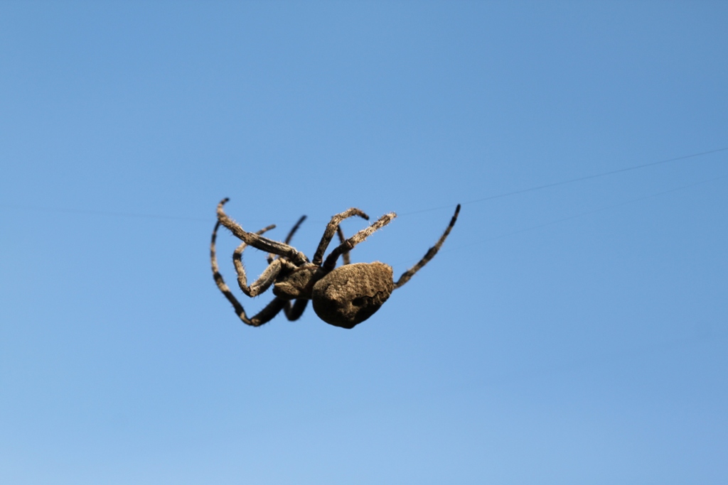 200900830֩ 033.jpg