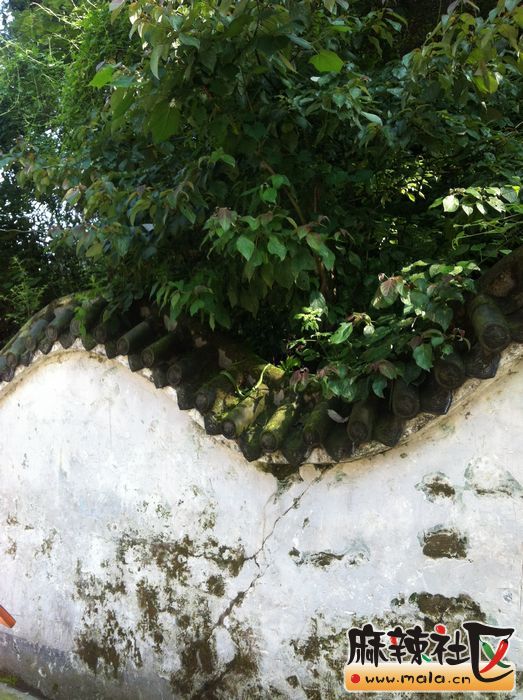 Ƭ 029.jpg