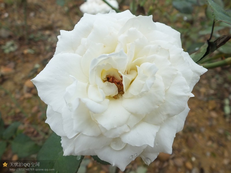 psb (9).jpg