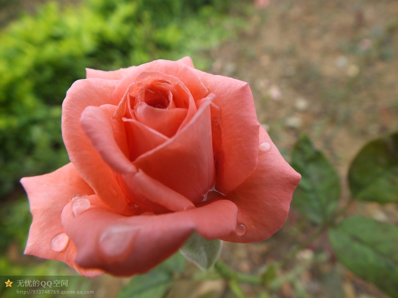 psb (11).jpg
