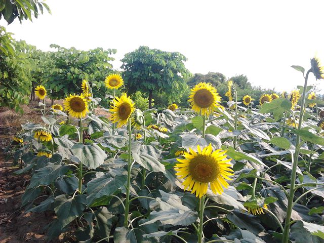 2013-07-12 16.04.04_.jpg
