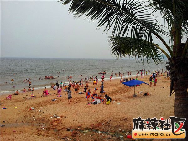 20130713_181018.jpg
