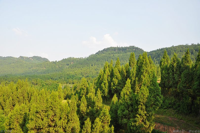 DSC_0028.jpg