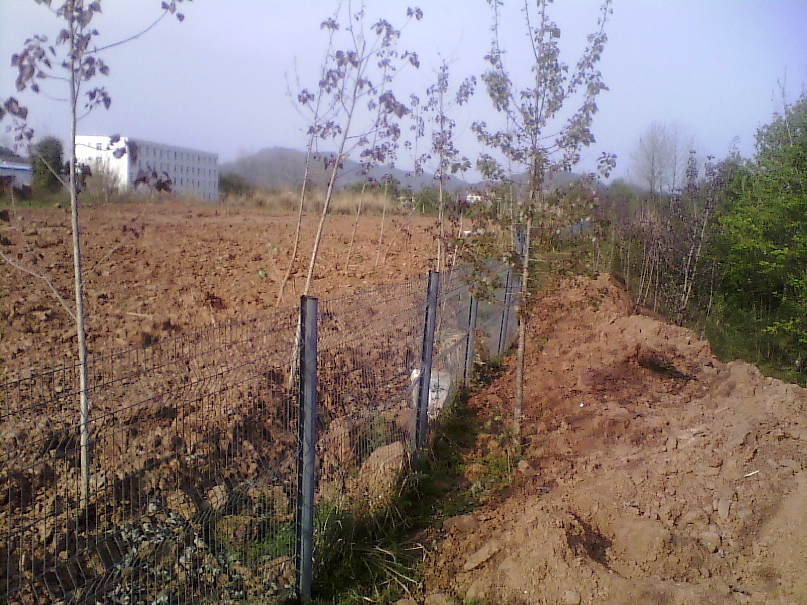 国土部:下半年查处闲置土地 建土地巡查制度