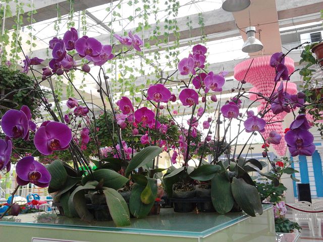 2013-07-12 17.03.22_.jpg