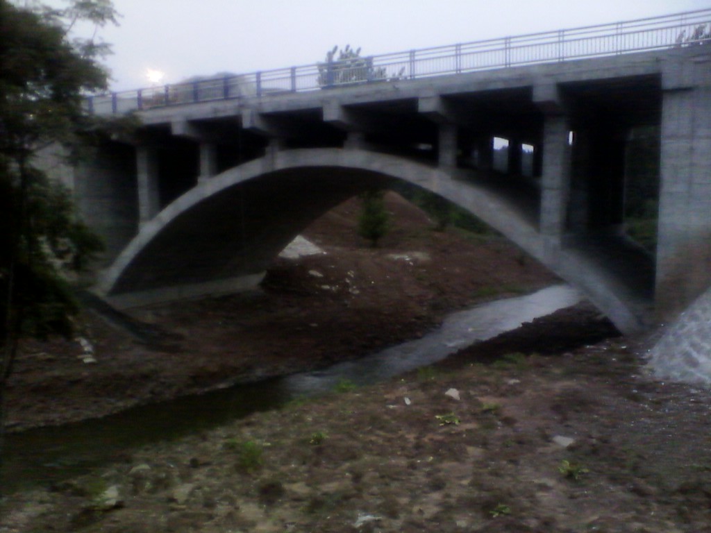 IMG_20130715_195020.jpg