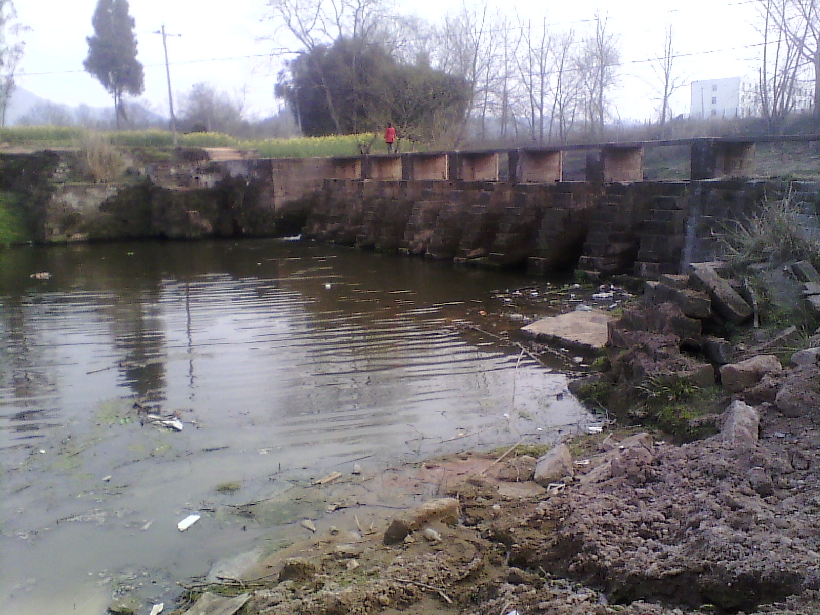 IMG_20130227_175053.jpg