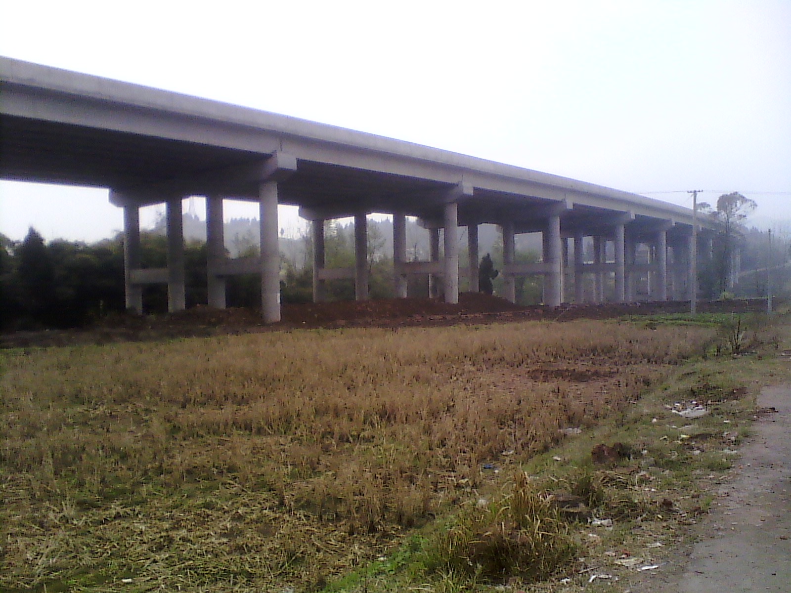 IMG_20130317_111326.jpg