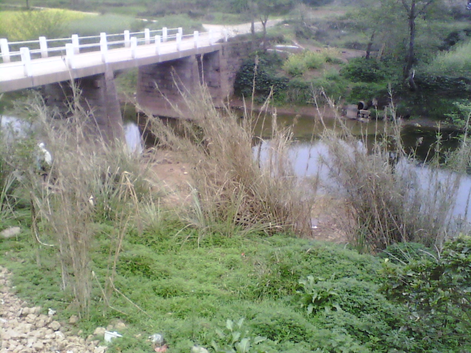 IMG_20130318_182402.jpg