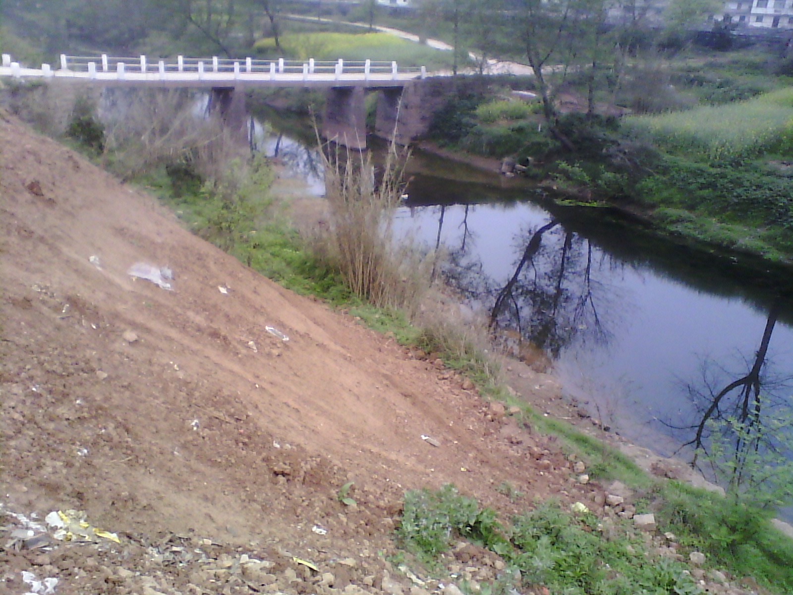 IMG_20130318_182534.jpg
