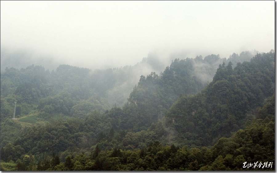A006.jpg