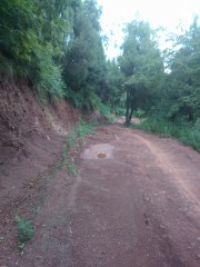 IMG20130711150721.jpg