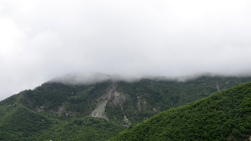 DSC_0978.jpg
