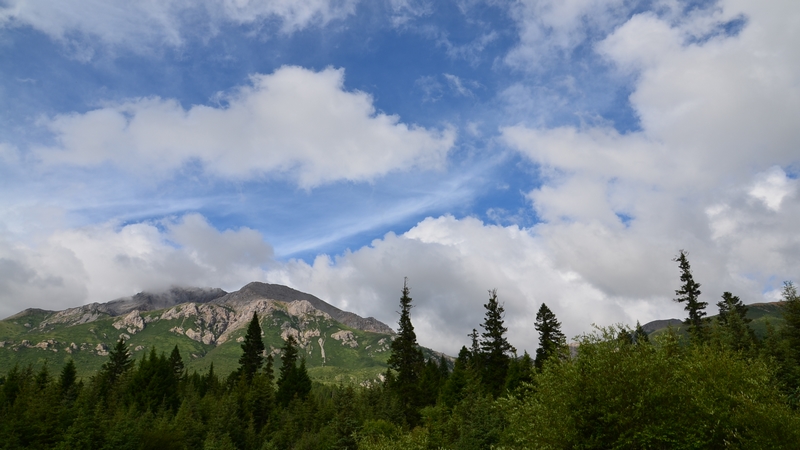 DSC_1016.jpg
