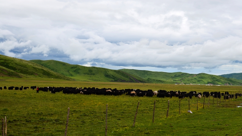 DSC_1093.jpg