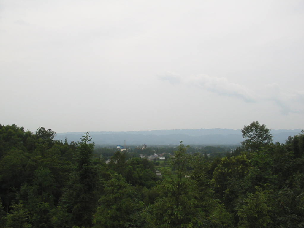 IMG_1903.jpg