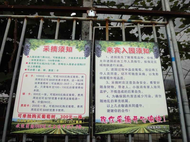 DSC01635.JPG