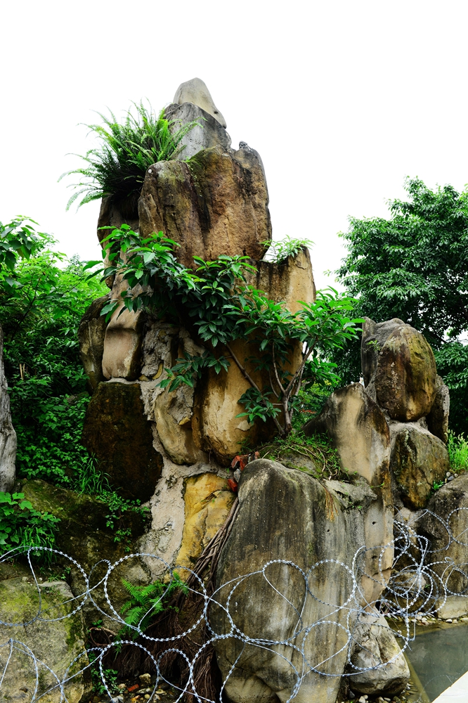 DSC_4892.JPG