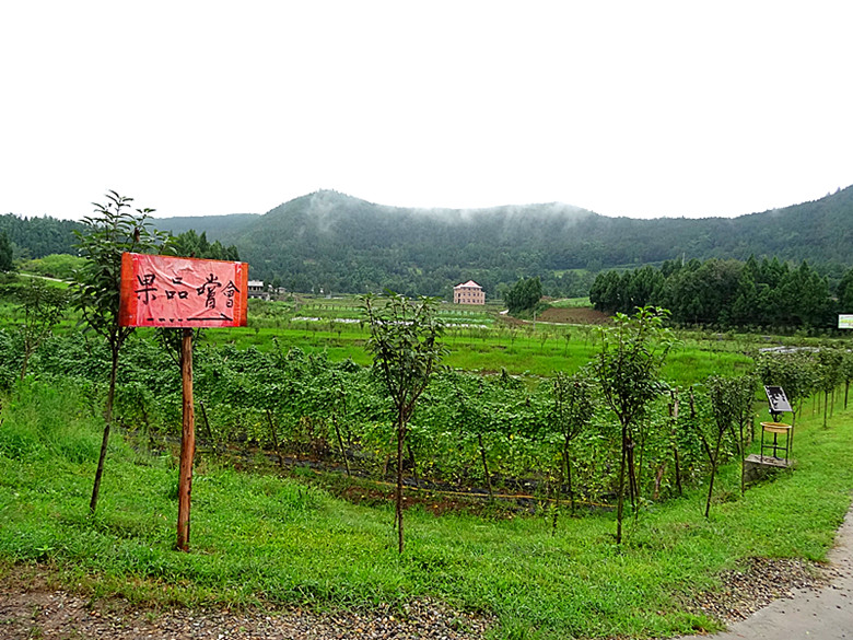 DSC08222_.jpg