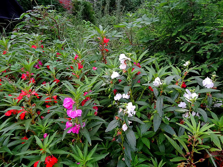 DSC08243_.jpg