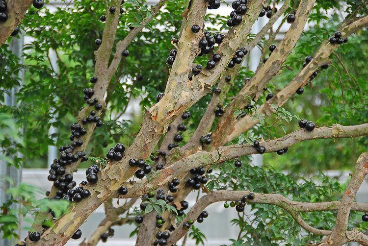 DSC_3292.jpg